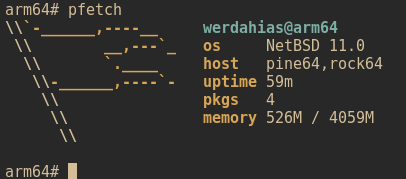 A pfetch screenshot showing NetBSD running on a rock64.
