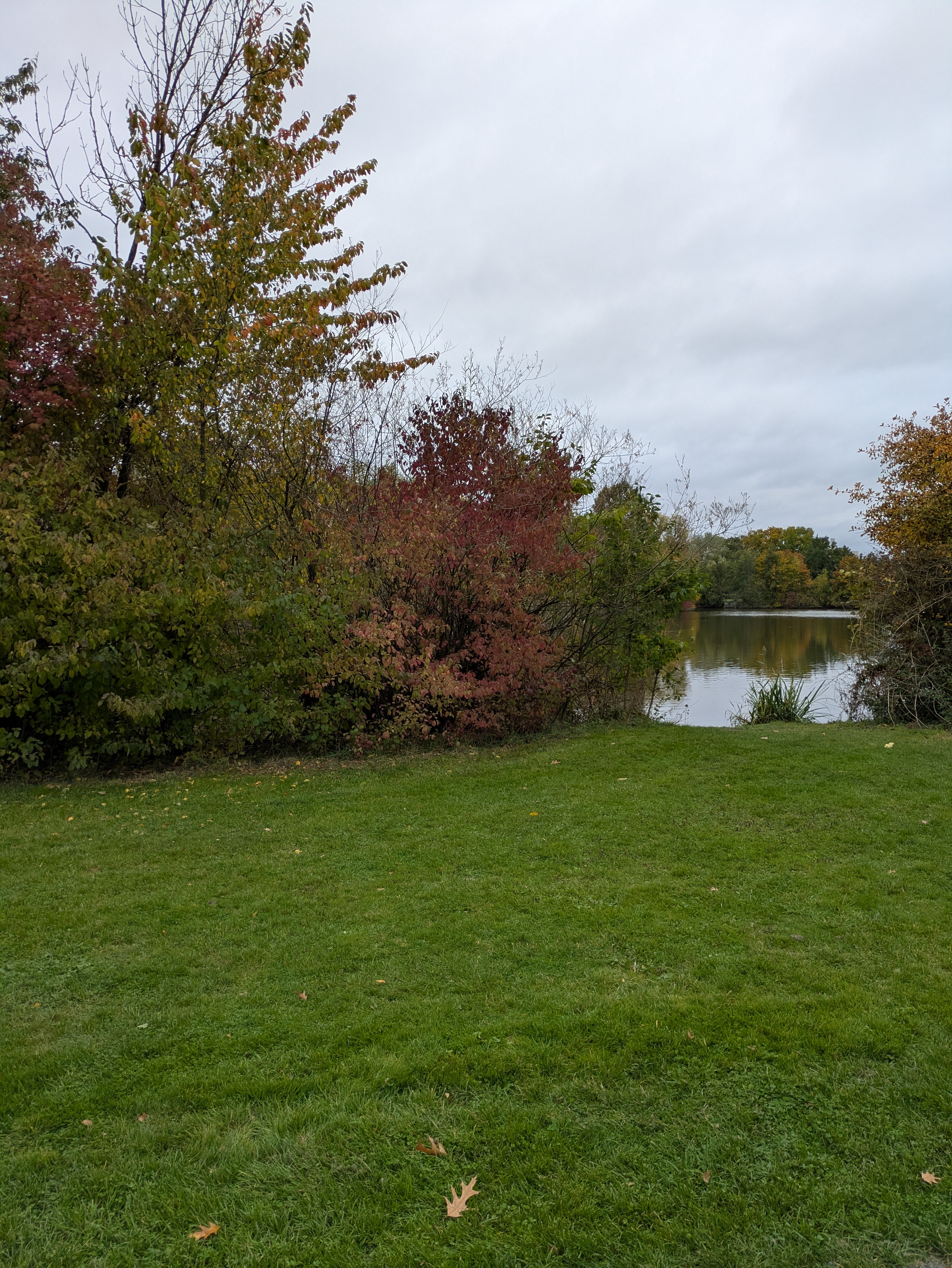 A picture from a park in the fall, with a lake in the background 